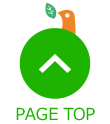PAGE TOP